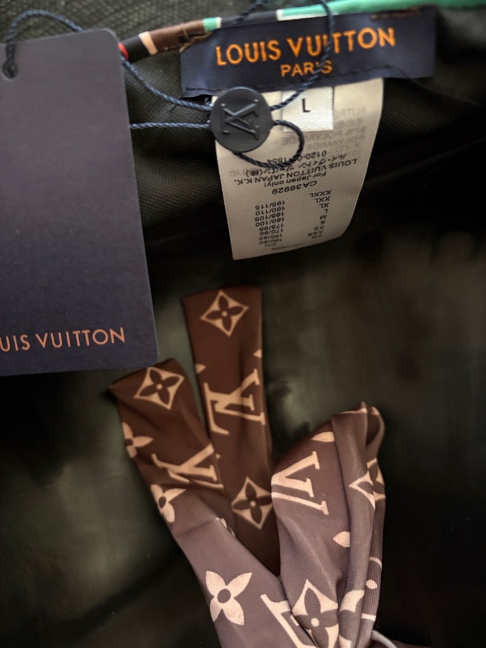 Louis Vuitton Brown Monogram One-Piece Swimsuit with Multicolor Travel Patches - Picture 11 of 11